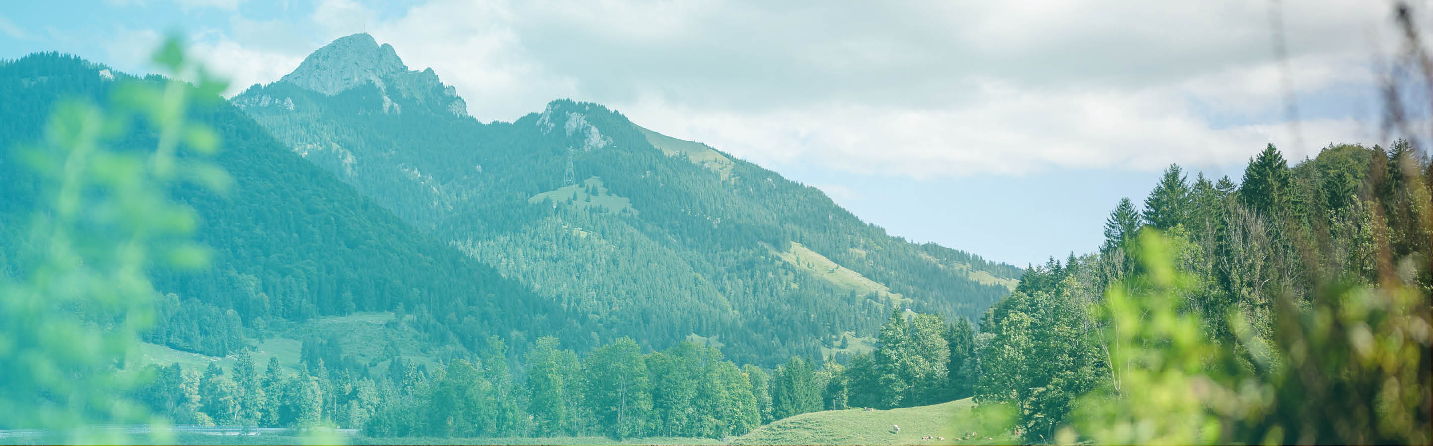Berge in den bayerischen Alpen