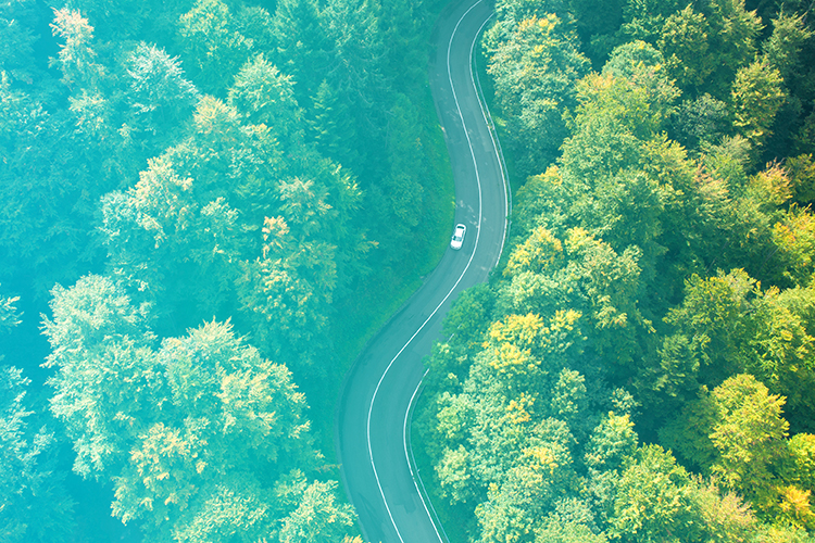 Straße im Wald aus der Vogelperspektive