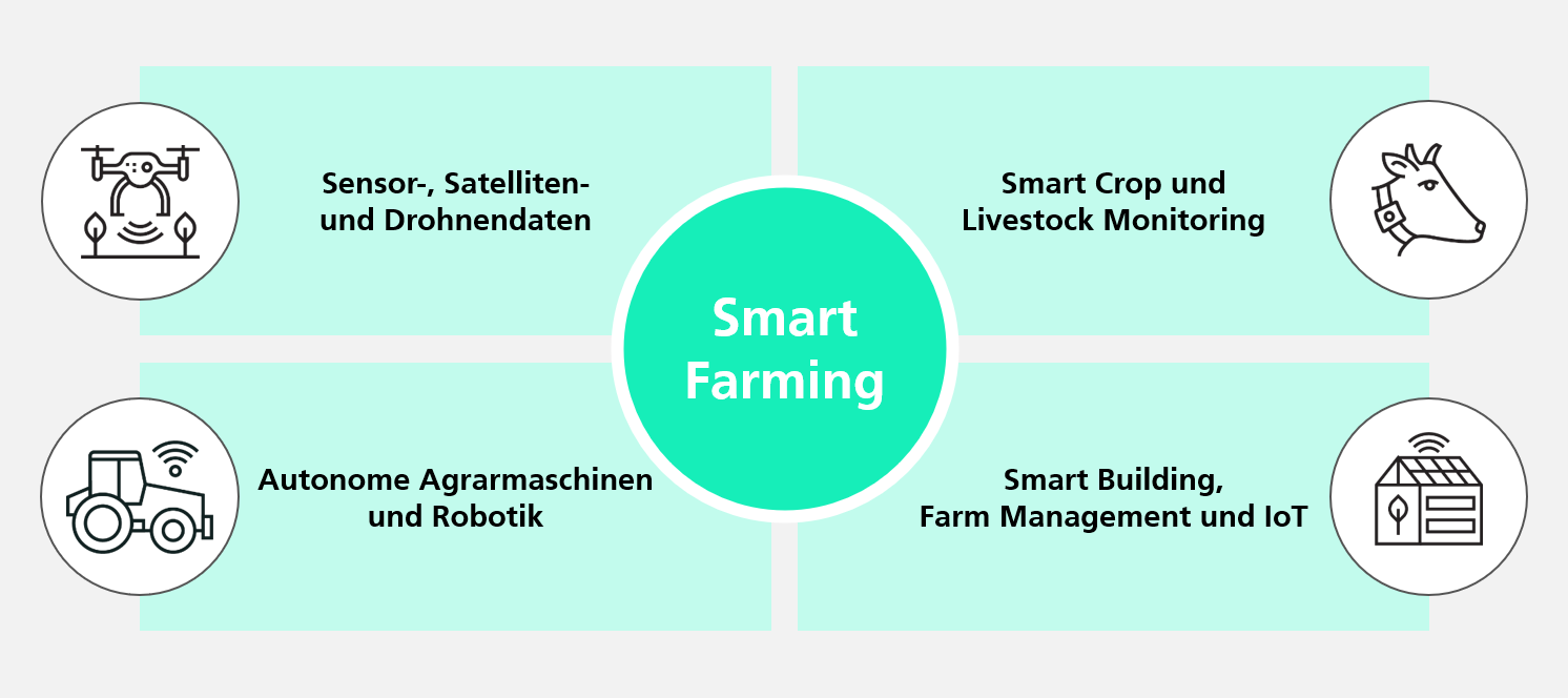 Grafische Darstellung von vier Anwendungsfeldern des Smart Farming: Sensoren-, Satelliten- und Drohnendaten, Smart Crop & Livestock Monitoring, Autonome Agrarmaschinen & Robotik sowie Smart Building, Farm Management und IoT.